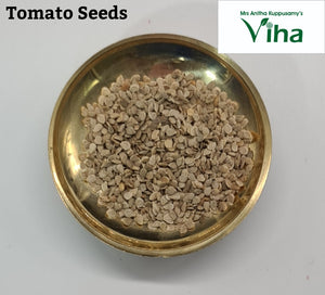 Tomato Plant Seeds / Thakkaali Vidhaigal