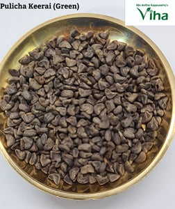 Pulicha Keerai Green (Gongura) Plant Seeds / Pulichaik Keerai Vidhaigal