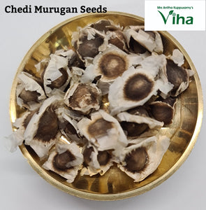 Chedi Murungai Plant Seeds / Chedi Drumstick Seeds /Chedi Murungai Vidhaigal