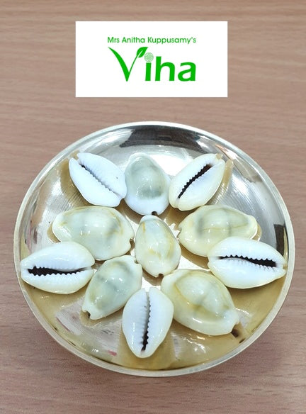 Mahalakshmi Sozhi (cowrie), eleven white cowrie shells inside a shiny gold-toned bowl
