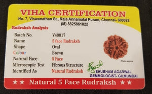 5 Face Rudraksh
