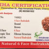 6 Face Rudraksh