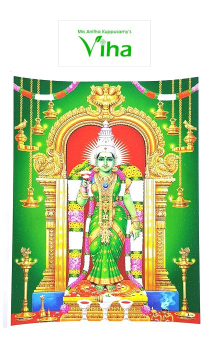 Meenakshi Amman Photo - Big, Meenakshi standing in green inside a temple doorway with a parrot in her hand, lamps at the base