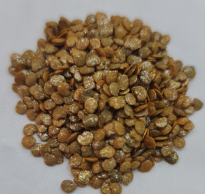 Bhavani Brinjal Seeds