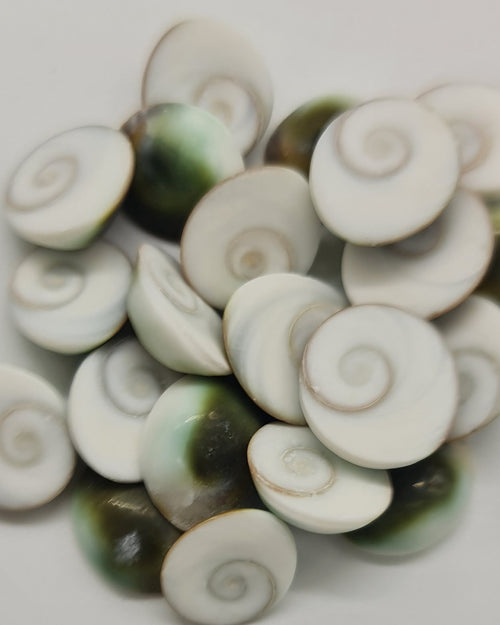 21 Mini Green Gomathi Chakram Set, a pile of spiral-patterned white and green shell-like stones