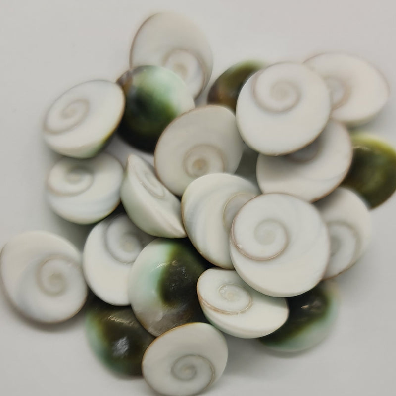 21 Mini Green Gomathi Chakram Set, a pile of spiral-patterned white and green shell-like stones