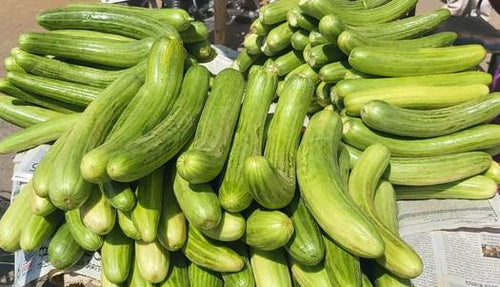 Naattu Vellarikai Seeds / Country Cucumber Seeds / Vellari Pinju Seeds
