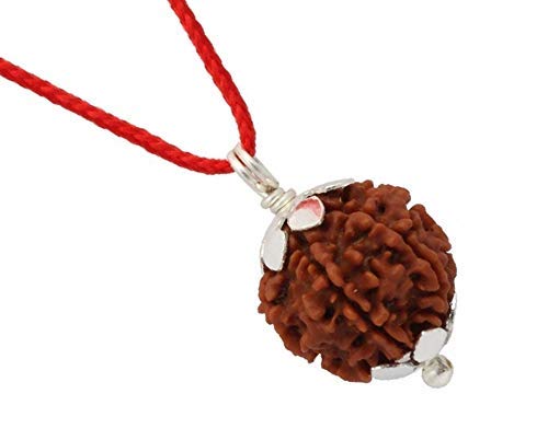 4 Mukhi Rudraksh, a brown bead pendant with silver caps on a red cord