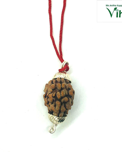 3 Face Rudraksh With Silver Cappings, an oval brown seed pendant on a cord