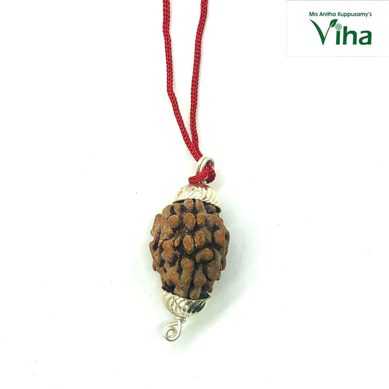 3 Face Rudraksh With Silver Cappings, an oval brown seed pendant on a cord