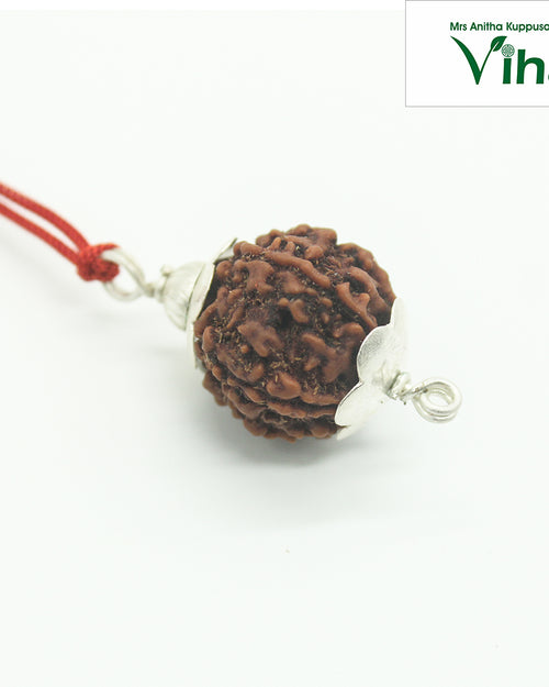 7 Mukhi Rudraksh, a brown bead with silver leaf-shaped caps on a red cord