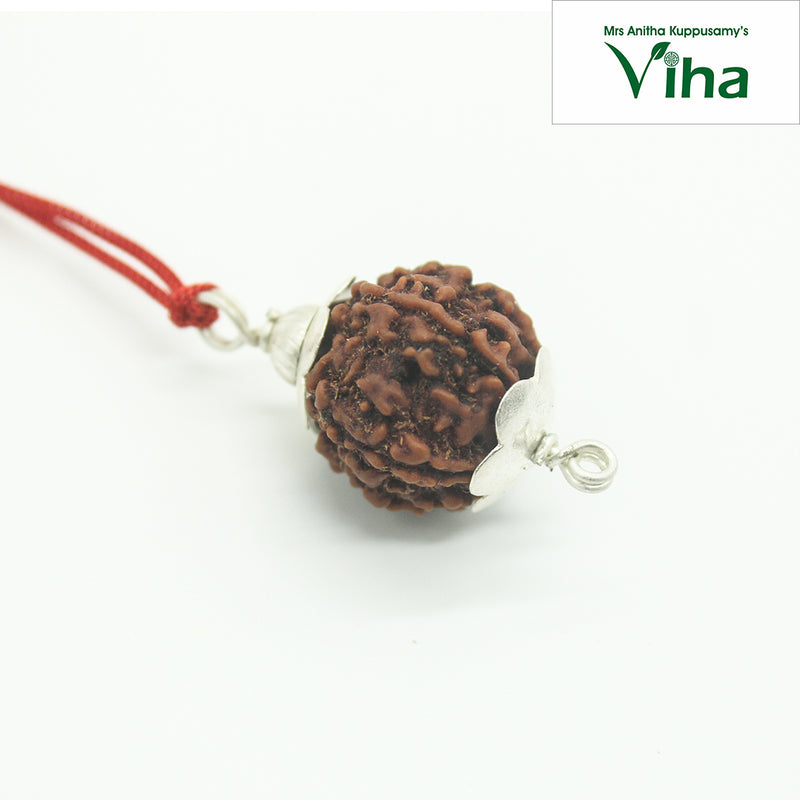 7 Mukhi Rudraksh, a brown bead with silver leaf-shaped caps on a red cord
