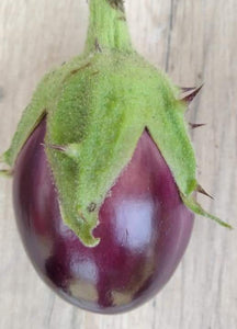 Mullu Katharikkai  Seeds / Mullu Brinjal Seeds