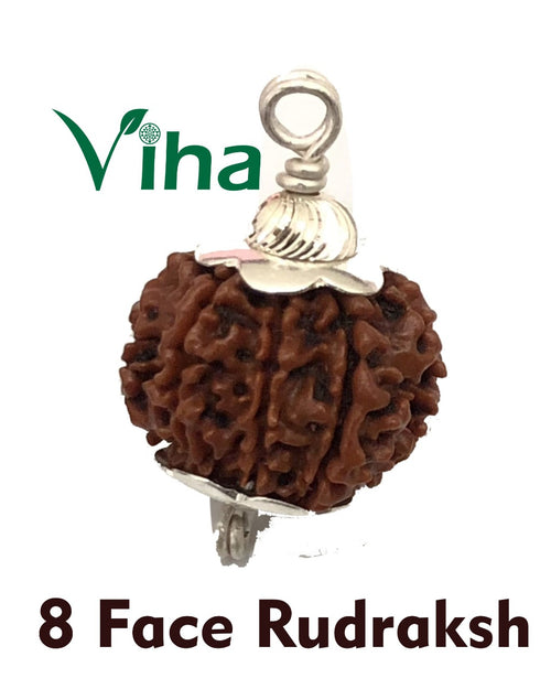 8 Mukhi Rudraksh, a brown bead pendant with ornate silver caps on each end
