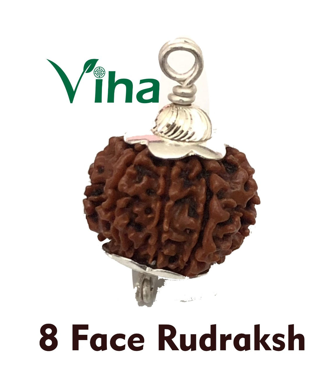 8 Face Rudraksh With Silver Cappings – Viha Online