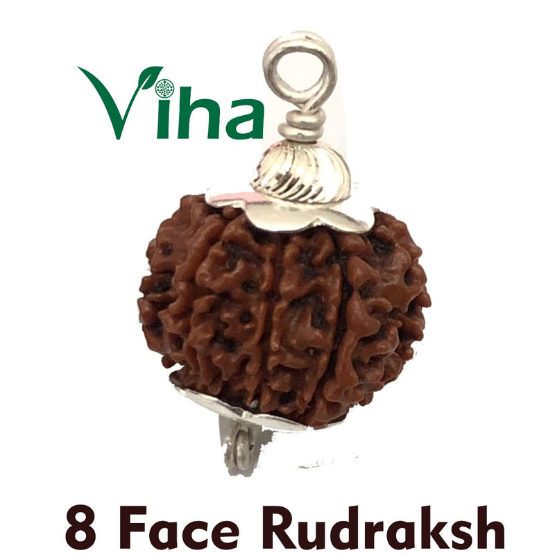 8 Mukhi Rudraksh, a brown bead pendant with ornate silver caps on each end