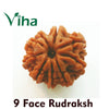 9 Face Rudraksh (nine mukhi rudraksha), one brown ribbed bead with a rough finish and a hole through the centre