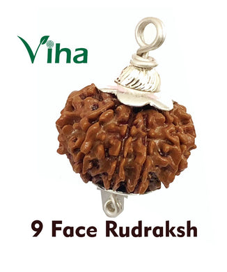 9 Face Rudraksh With Silver Cappings