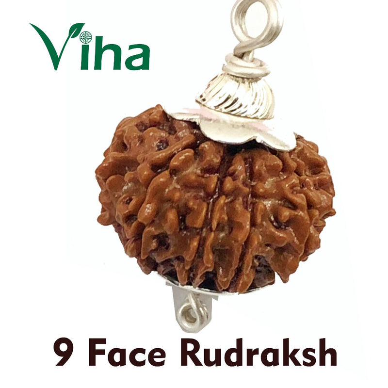 9 Face Rudraksh With Silver Cappings, a rough brown seed held in a cap and loops