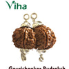 Gaurishankar Rudraksh With Silver Cappings, natural ridges and metal loops