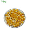 Sweet Corn Seeds (Solam Vidhaigal), a pile of glossy yellow corn kernels rests on a round silver-coloured plate against a plain white background