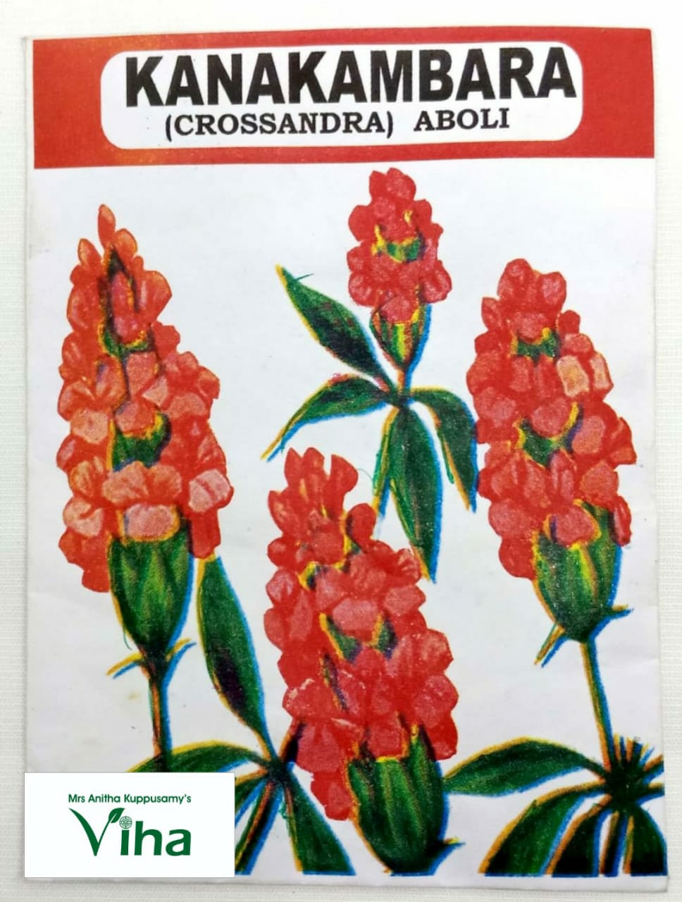 Crossandra flower seed -18 gm