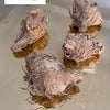 Black Turmeric | Karumanjal - Dried For Pooja, four irregular brown dried roots with fibrous textures