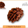 Face Rudraksh, two brown, irregularly shaped, textured seed objects, one larger in the center and one smaller in the upper left, on a white background