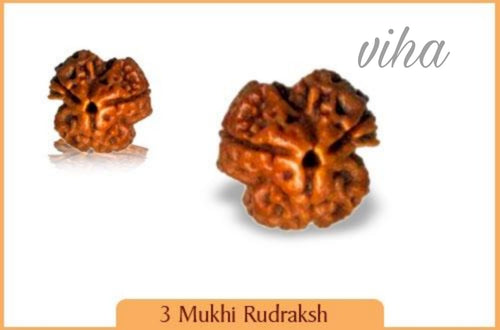 3 Face Rudraksh