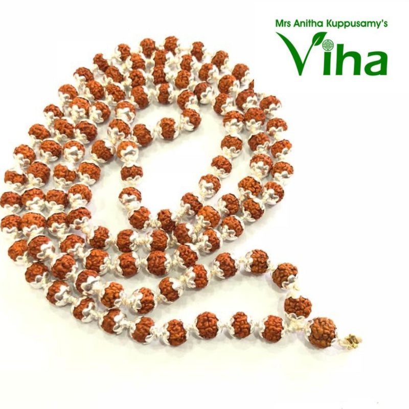 Rudraksh Mala, a coiled strand of rudraksha beads each fitted with silver caps
