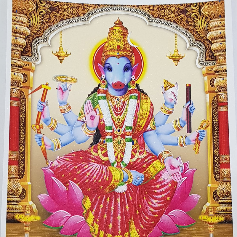 Shri Varahi Amman Photo, a glossy, rectangular print features a blue-faced, eight-armed figure in a red garment, seated on a pink lotus