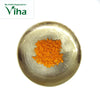 Korosanai (Gorochan), a shiny gold-toned shallow bowl holding a pile of orange granules