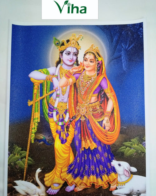 Shri Radha Krishna Photo - Big, Radha and Krishna standing together, Krishna in a yellow dhoti holding his flute, Radha in violet, a white cow at their feet