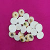 21 Mini Gomathi Chakras (spiral shells) Set