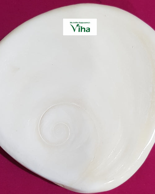 Maharaja Gomathi Chakra, an off-white, polished, flat, irregularly rounded stone-like object with one engraved spiral