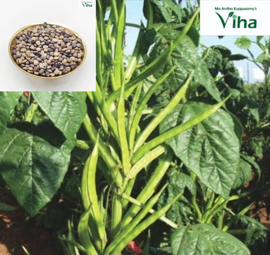 Cluster Bean Seeds / Kothavarai Vidhaigal