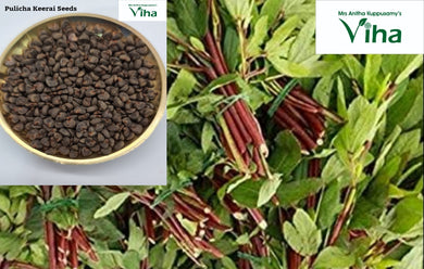 Pulicha Keerai Red (Gongura) Plant Seeds / Pulichaik Keerai Vidhaigal