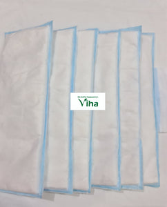 Herbal Sanitary Napkin With Wings Large (6 Pieces)
