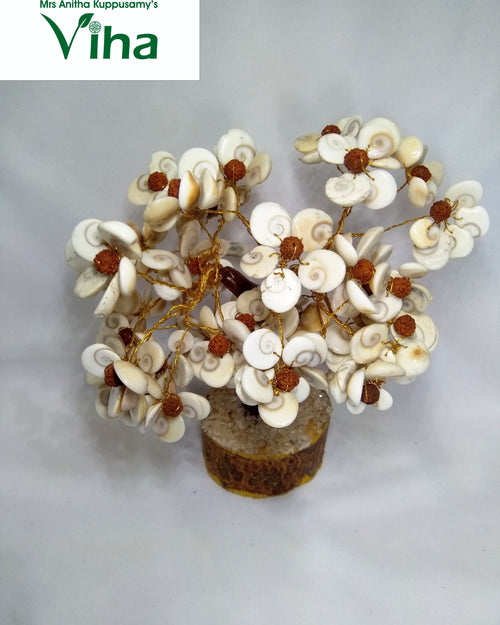 Gomathi Chakra Rudraksh Tree with flower-like shell clusters and beads