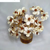 Gomathi Chakra Rudraksh Tree with flower-like shell clusters and beads
