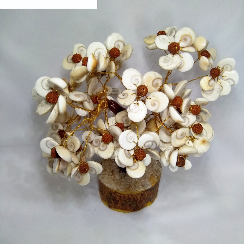 Gomathi Chakra Rudraksh Tree with flower-like shell clusters and beads