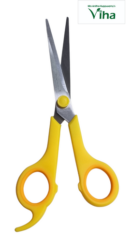 Stainless Scissors