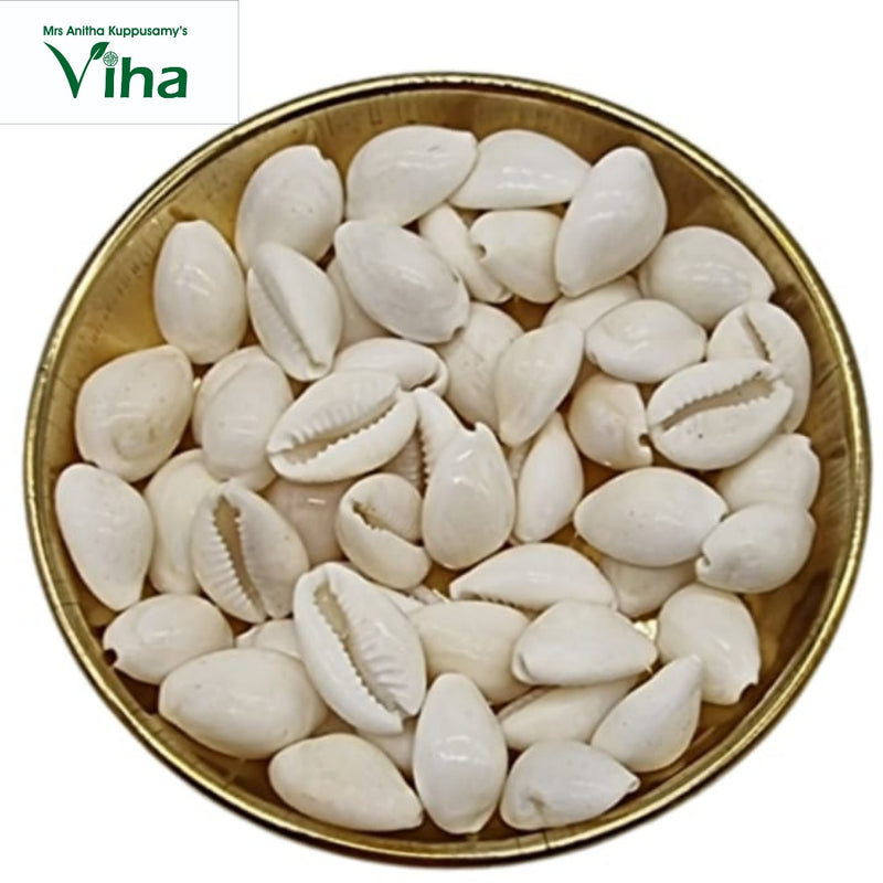 Cowrie (Sozhi), many small white cowrie shells filling a gold-toned bowl