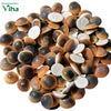 Gomathi Chakra (spiral shell) Special, a set of 108