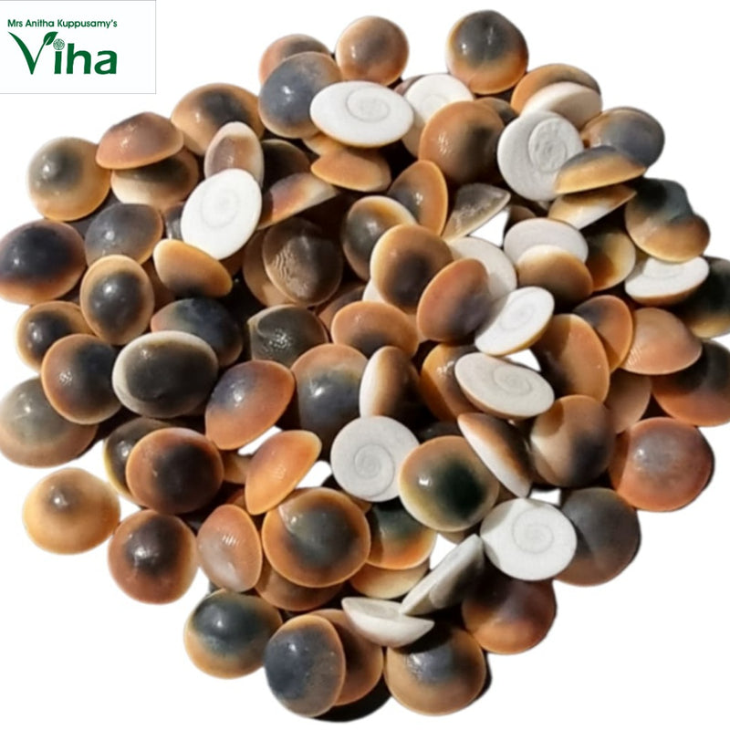 Gomathi Chakra (spiral shell) Special, a set of 108