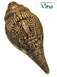 Conch / Shells – Tagged