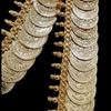 Impon Lakshmi Kasu Malai, a gold-toned coin necklace featuring overlapping circular discs with beaded fringe edges