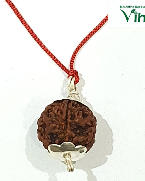 5 Mukhi Rudraksh, a brown bead pendant with silver capping on a red cord