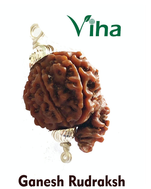 Original Ganesh Rudraksh With Silver Cappings, textured pendant