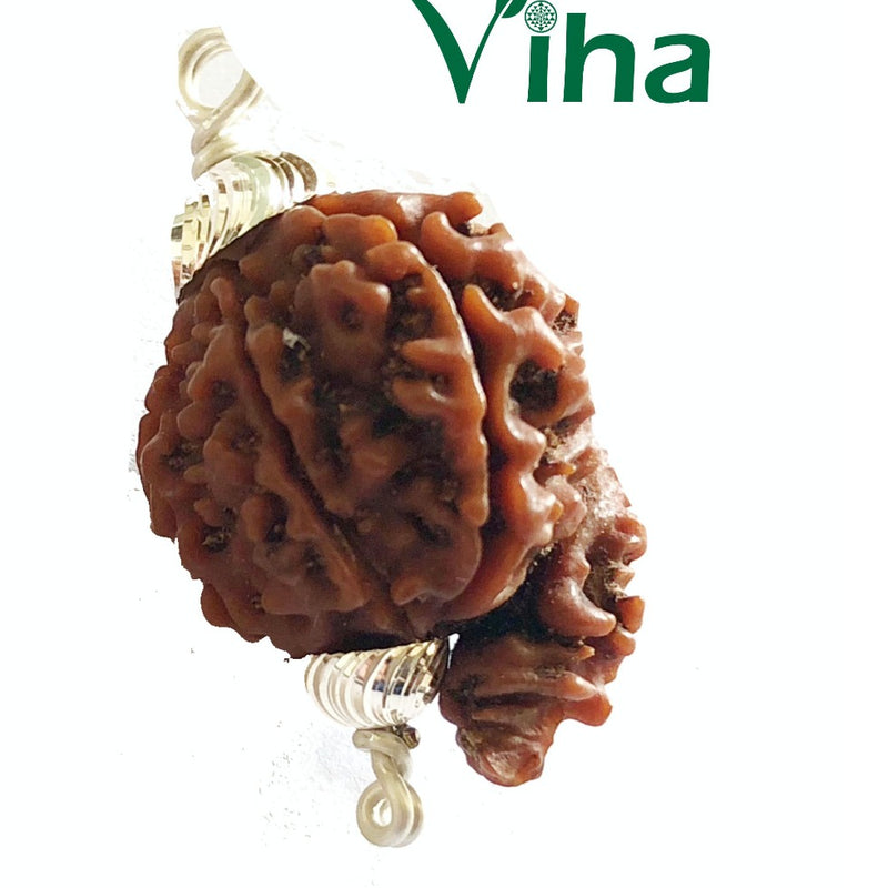 Original Ganesh Rudraksh With Silver Cappings, textured pendant